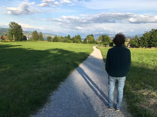 Person auf Feldweg blickt in die Ferne.